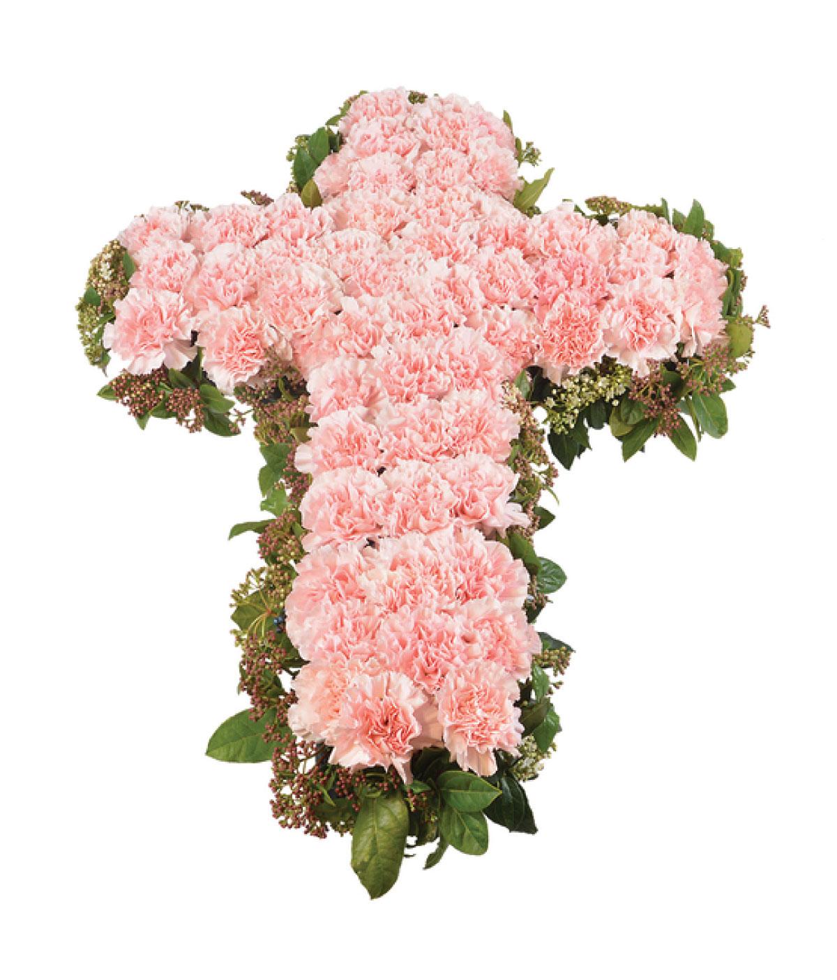 La cruz
