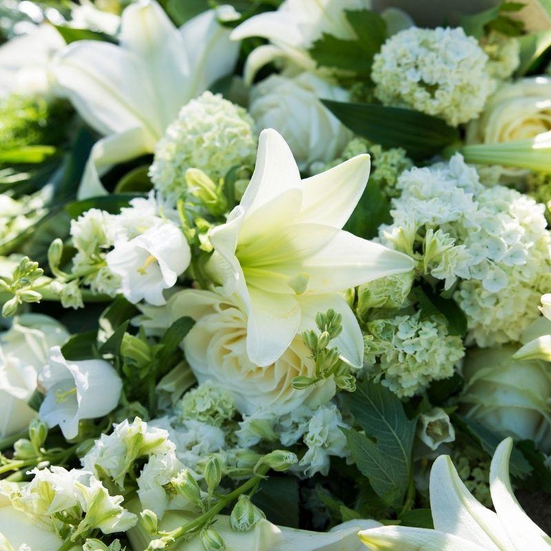 flores blancas