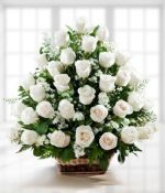 Flor de la Eternidad